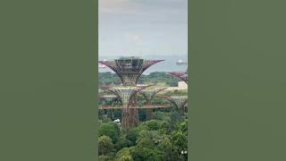 Uncover the beauty of a city in nature @VisitSingapore ​ @SingaporeTourismBoard