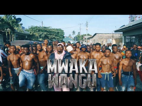 Harmonize - Mwaka wangu (Official Music Video)