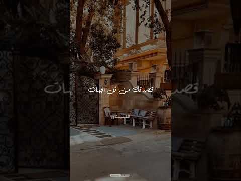 قصدتك من كل الجهات مناديا حالات واتس ابتهالات الشيخ النقشبندي 