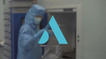 Amplitude : Performance - Proximity - Innovation