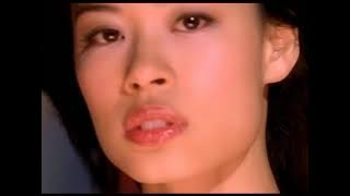 Vanessa-Mae - Destiny