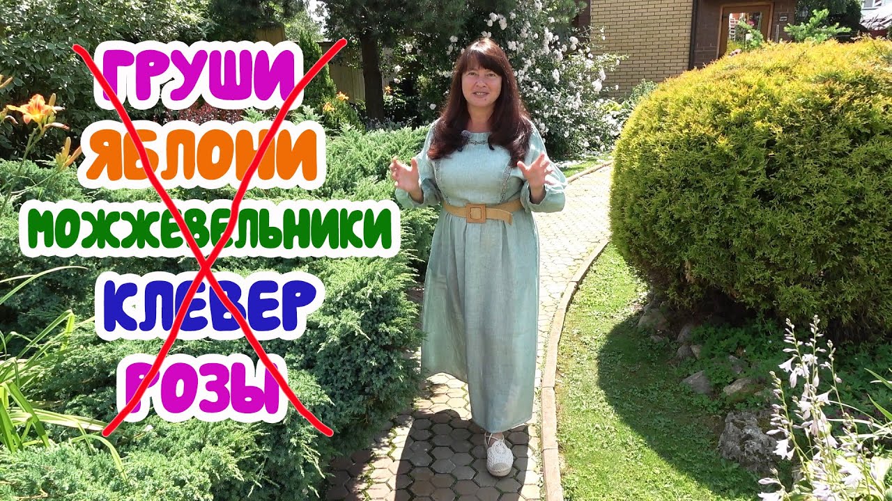 5 ОШИБОК В СОЗДАНИИ САДА, которые сложно исправить!