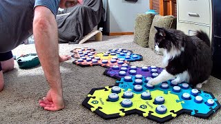 I Think Todd Has Moved To The Next Level!