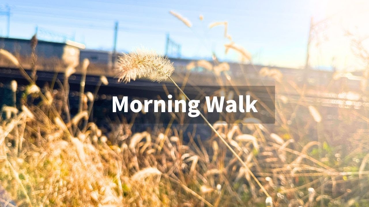 Morning Walk & Breakfast in Japan