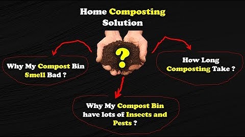How to Fix a Smelly Compost Bin, Manage Insects, and Speed Up Composting with Simple Solutions