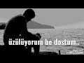 Üzülüyorum be dostum...