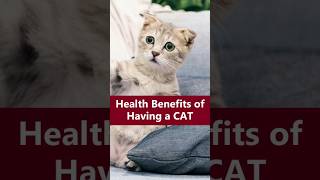 Health Benefits ofHaving a CAT! #CatHealth #PetCare #CatLovers #HealthyPets #purrtherapy