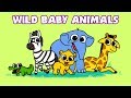 Learn Wild Animals | Baby Animal Names | Newborn Safari Zoo Wildlife video for Kids