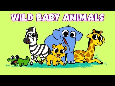 Video: De sötaste Zoo Babies of 2016