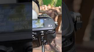 Detaylar Ve Renkler Muhteşem. Nikon Z8 Ile Isınma Turları Kumru