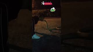 Snake kiss challenge video,  Bigo Live Short video, bigo shots, Bigo Live, Bigo Trend