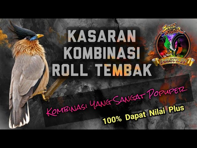 MASTERAN Kasaran Kombinasi Roll Tembak, Perpaduan Yang Sangat Populer Saat ini class=