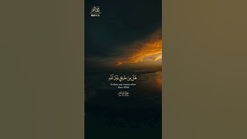 هَل مِن خَالِقٍ غَيرُ اللهِ || طارق محمد || من سورة فاطر