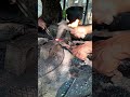 Old Tools Melted Into a New Peraak Complete Forging Tutorial# youtube short video# foryou