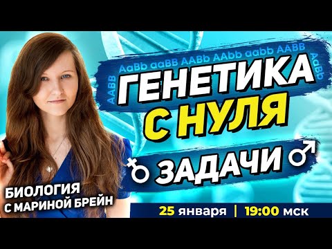 ЗАДАЧИ ПО ГЕНЕТИКЕ С НУЛЯ ЕГЭ