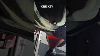 Where Is The Oil ? Crickey