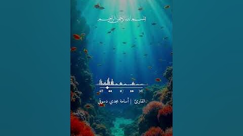 الورد اليومي صفحة 155سورة الأعراف 🌸🤍
