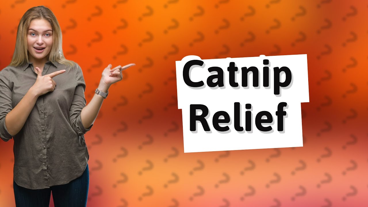 Does Catnip Help Cats In Heat YouTube Does Catnip Help Cats In Heat YouTube