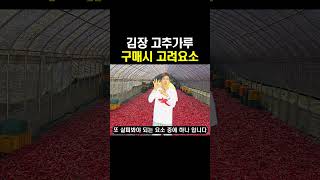 김장 고춧가루 어디서 구매해요?