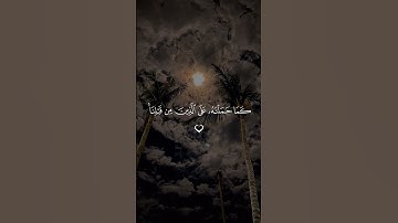 لا يكلف الله نفسا إلا وسعها #قرآن #تلاوة_خاشعة