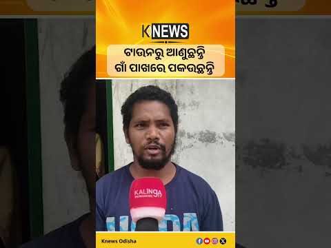 ଗୁଣୁପୁର: ଟାଉନରୁ ଆଣୁଛନ୍ତି ଗାଁ ପାଖରେ ପକଉଛନ୍ତି #knewsodisha
