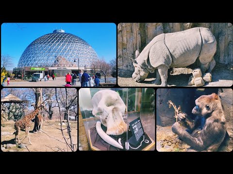 Travel: Nebraska Omaha’s Henry Doorly Zoo and Aquarium