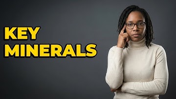 What Minerals Replace Bone In Fossilization?