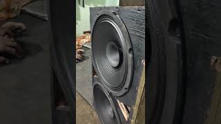 double 12 inch speaker #shortvideo #experiment