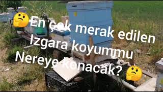 Şahin Orhan Tekniği Izgara Koyacakmıyız? Nasıl Ne Zaman Nereye? 