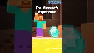 The Real Minecraft Experience