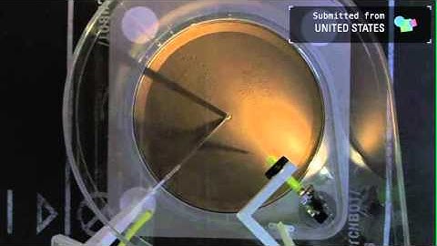 Web Lab: My Sketchbot Portrait