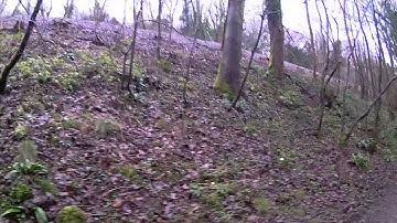 Polaroid Cube + walking