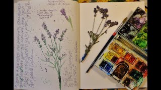 NATURE JOURNAL The End of Meteorological Summer, Lavender Harvest, Flower Press Opening!