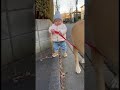 犬とお散歩 #赤ちゃん #いぬすたぐらむ #犬 #baby #dog #cute