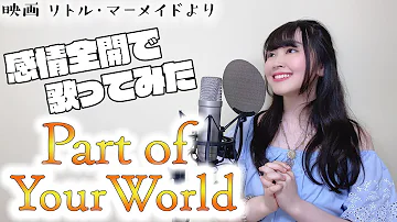ディズニー歌ってみた