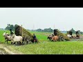 Six Bullock Cart Heavy Load In Mud // Bullock Cart Race // Village Agriculture