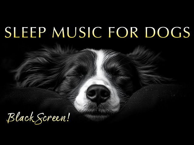 Sleep Music for Dogs and Humans 🐶💤 100% Black Screen