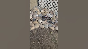 Furitek Kamodo Build with RCAWD Portal Axles running a 3S.