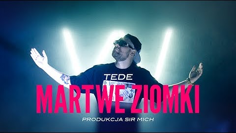 11. TEDE - MARTWE ZIOMKI (prod. SIR MICHU) / VANILLAHAJS 2015