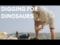 Paleontology and the Morrison Formation
