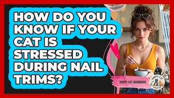 How Do You Know If Your Cat Is Stressed During Nail Trims? - Happy Cat Handbook