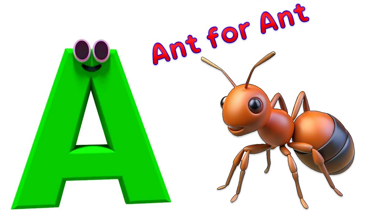 A for Ant | ABCD Alphabet | ABC lerning video for | Toddlers mimi minds ...