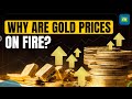 Gold Rises To Lifetime High | What’s Fueling The Fire?