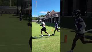 NEW: Ravens players run through gauntlet of kids at Training Camp