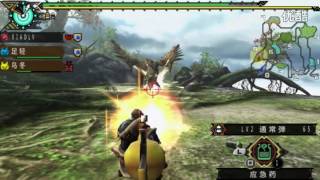 【电玩堂】小驴解说《PSP怪物猎人3》狩猎一头雌火龙