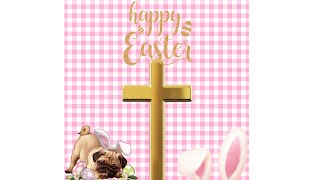 EASTER BASKET HALL!!!! π£π°πβοΈβοΈβοΈ Profile