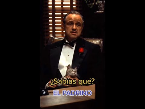 Video: ¿Padrino es un nombre español?