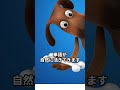 単語を覚えても英語が話せない理由とは？【チャンク英語】