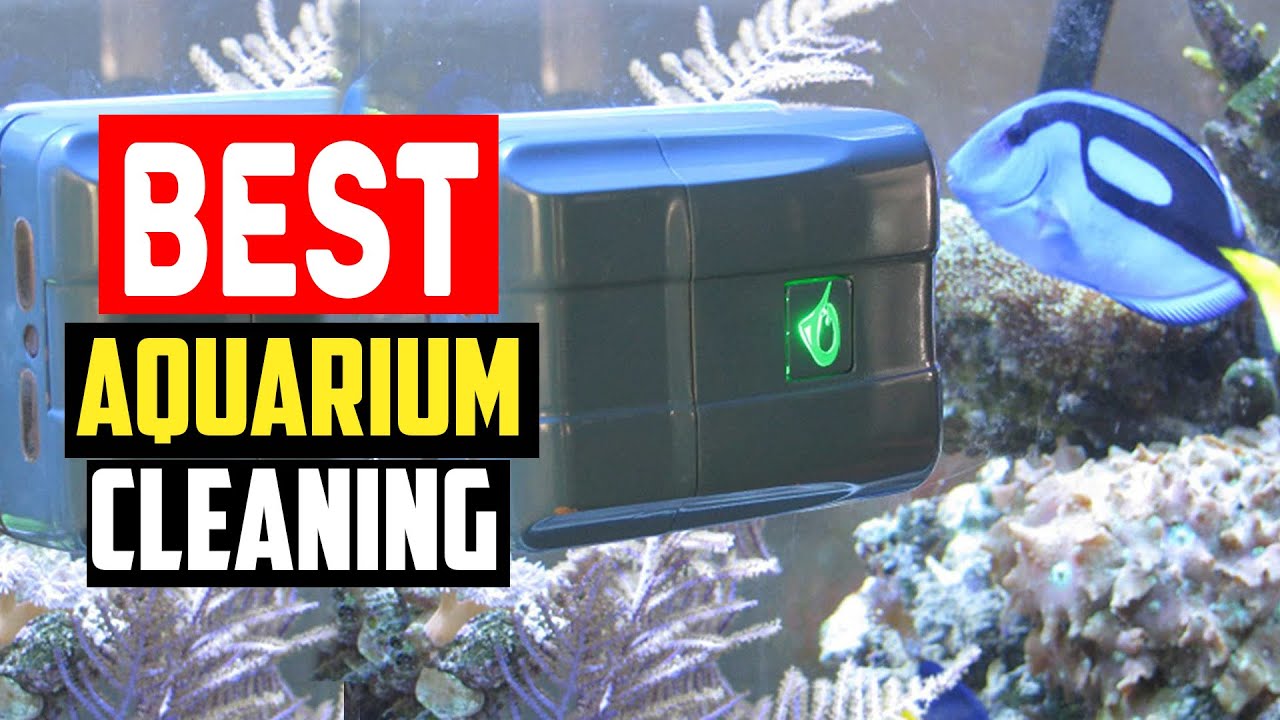 ✓The 10 Best Aquarium Cleaning Supplies of 2023 