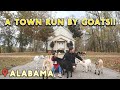 The One Where We Die In Alabama (Jackson Lake Island, Abandoned Movie Set, and GOATS!)